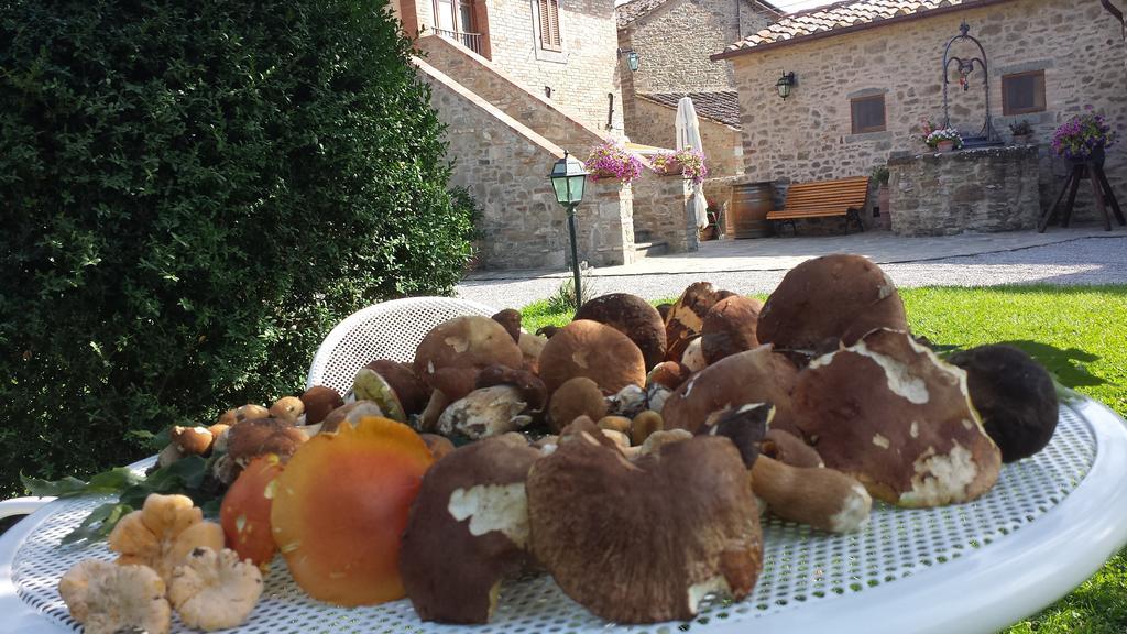Bed and Breakfast Casale L'Antico Carro Cortona Exterior foto