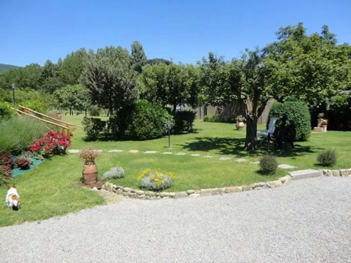 Bed and Breakfast Casale L'Antico Carro Cortona Exterior foto
